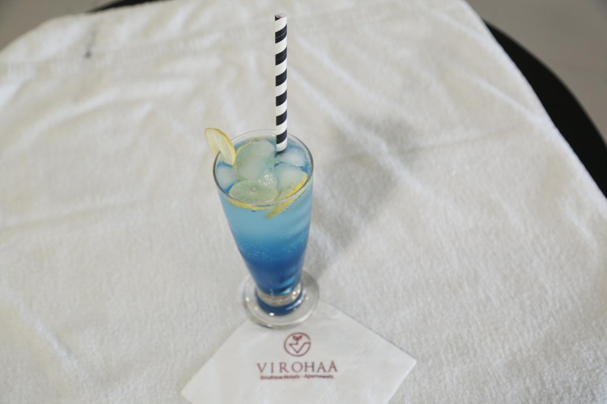 Virohaa Garden Hotel Ghaziabád Exteriér fotografie